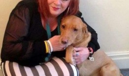 希狗视频在线观看,畅享欢乐时光，在线观看轻松娱乐